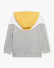 Grey mottled hoodie FLECHAGE / 23E3PGS1GIL943