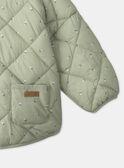 Blue green DOWN JACKET MIMORGANE / 25E1BF31D3E614