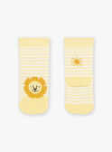 Off white striped socks Jacquard lion FAARNOLD / 23E4BG82SOQ001