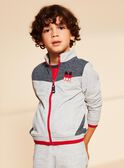 Mouse grey embroidered M jogging top  FRITOPAGE / 23E3PGJ1JGH943