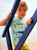 Child boy turquoise T-shirt with shark print COTIFAGE / 22E3PGN1TMC203