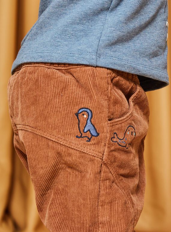 Brown corduroy pants DASCOTT / 22H1BGY1PAN804