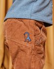 Brown corduroy pants DASCOTT / 22H1BGY1PAN804
