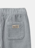 Blue PANTS NAOLIVIER / 25H1BGW1PAN204