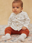Ecru velvet pyjamas with Dalmatian print GOKAY / 23H0CML2ENS001