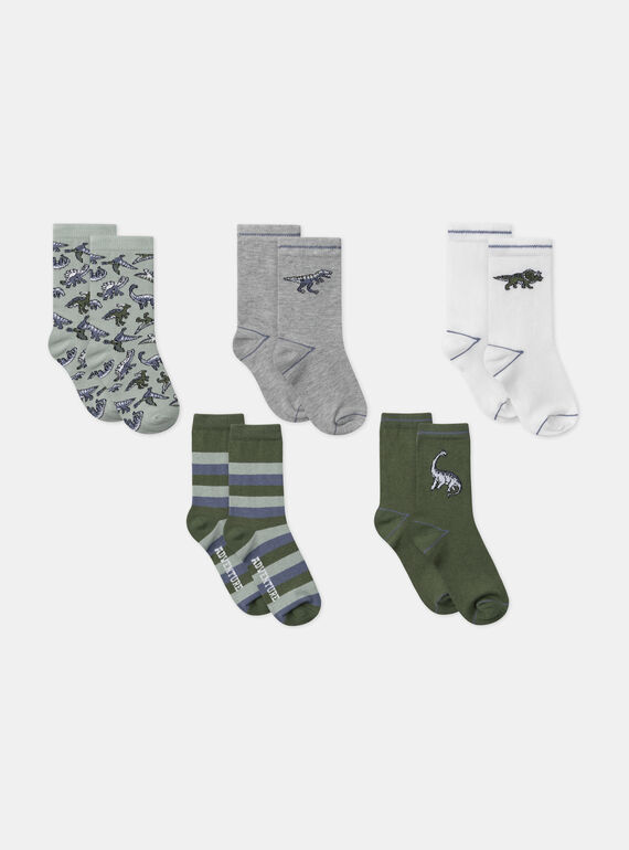 Greyish blue SOCKS SETx5 MIFOTAGE / 25E4PG91LC5205