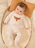 Heather beige BABYGROW NORDIN / 25H0NM11GREA011