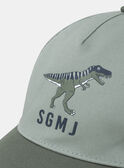 Light green HAT MICHAPAGE / 25E4PG91CHAG600