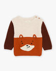 Brown PULLOVER DAJIFLO / 22H1BGF1PULI815