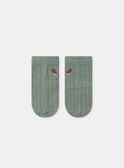 Light Kaki SET NORBETO / 25H0CGO1ENS626