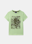 Green TEE SHIRT SS MLEDINAGE / 25E3PGO2TMC603