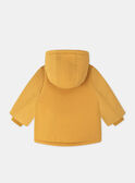 Yellow PARKA LIPIERRE / 24H1BG71PARB101