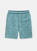 Turquoise BERMUDA MMENIVAGE 1 / 25E3PG64BER202