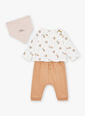 Hazelnut and ecru top, pants and bandana set LOGAN / 24H0CG13ENS821