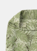 Light green BERMUDA MLEFORTAGE / 25E3PGO3BERG600