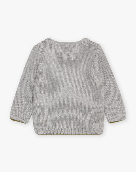 Grey knit sweater DADICTOR / 22H1BGD2PUL943