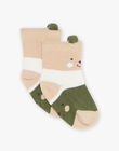 Multicolored striped socks with teddy bear Jacquard FAGEGE / 23E4BGD2SOQ801