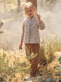 Ivory BLOUSE NLEBULETTE / 25H2PFT1CHE005