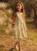 Light green DRESS MLEREVETTE / 25E2PFO3ROBG600