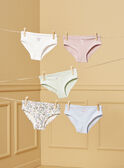 Ivory BRIEFS / PANTY RIB LUIZETTE / 24H5PF51SLR005