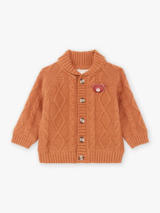 Baby Boy Brown Knitted Vest BALUBIN / 21H1BGJ1GIL809