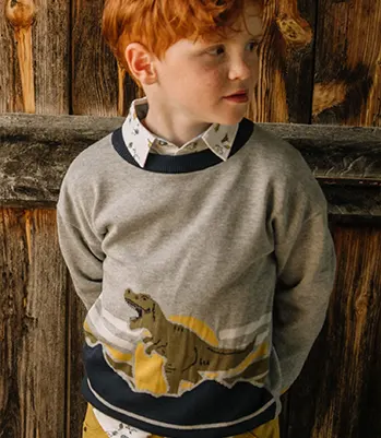 Grey dinosaur sweater – 20,79€